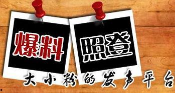 最新爆料的新闻网站,新闻网站独家披露重大新闻事件